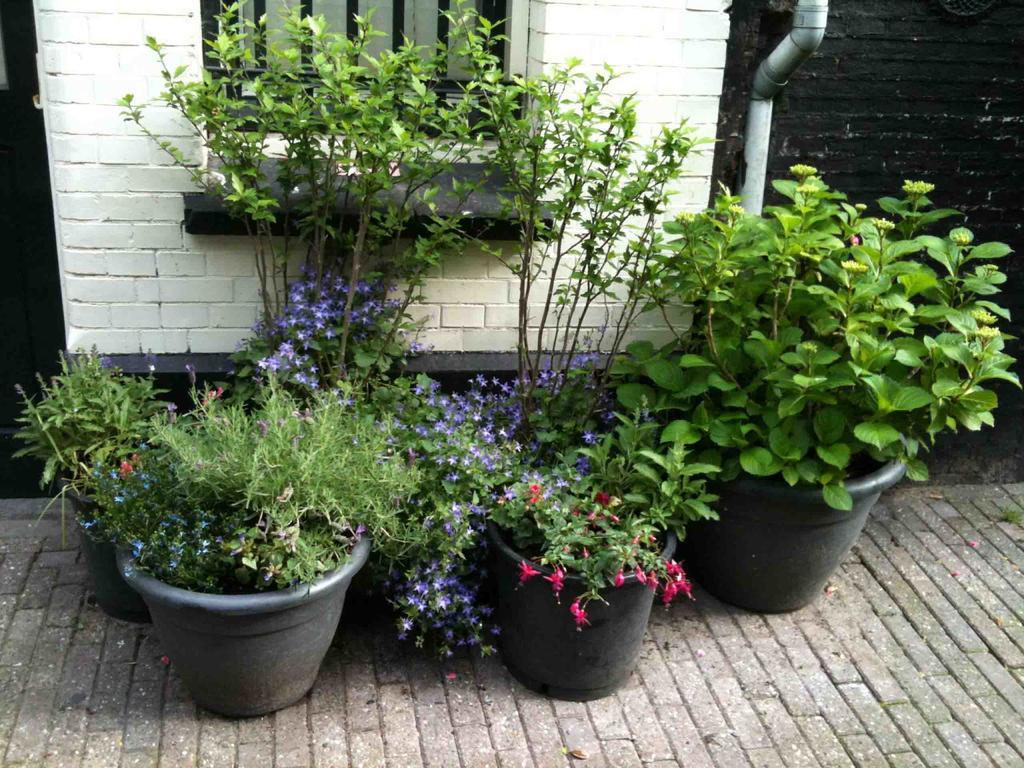 Bed and Breakfast The Warehouse Amsterdam Esterno foto